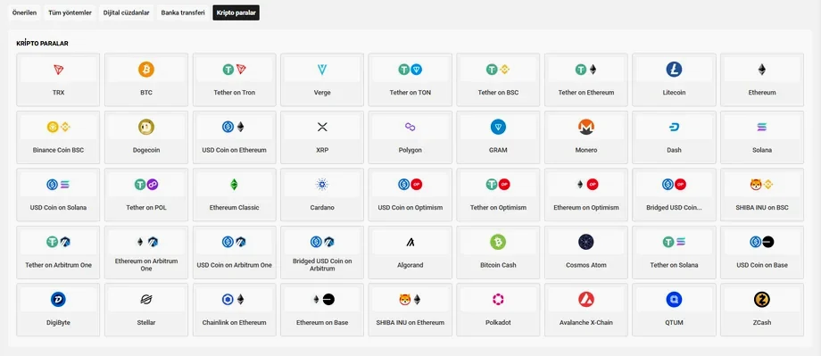 Kripto para yatırma seçenekleri ve desteklenen ağlar
